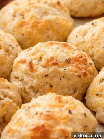 Baked cheddar garlic drop biscuits on metal pan.