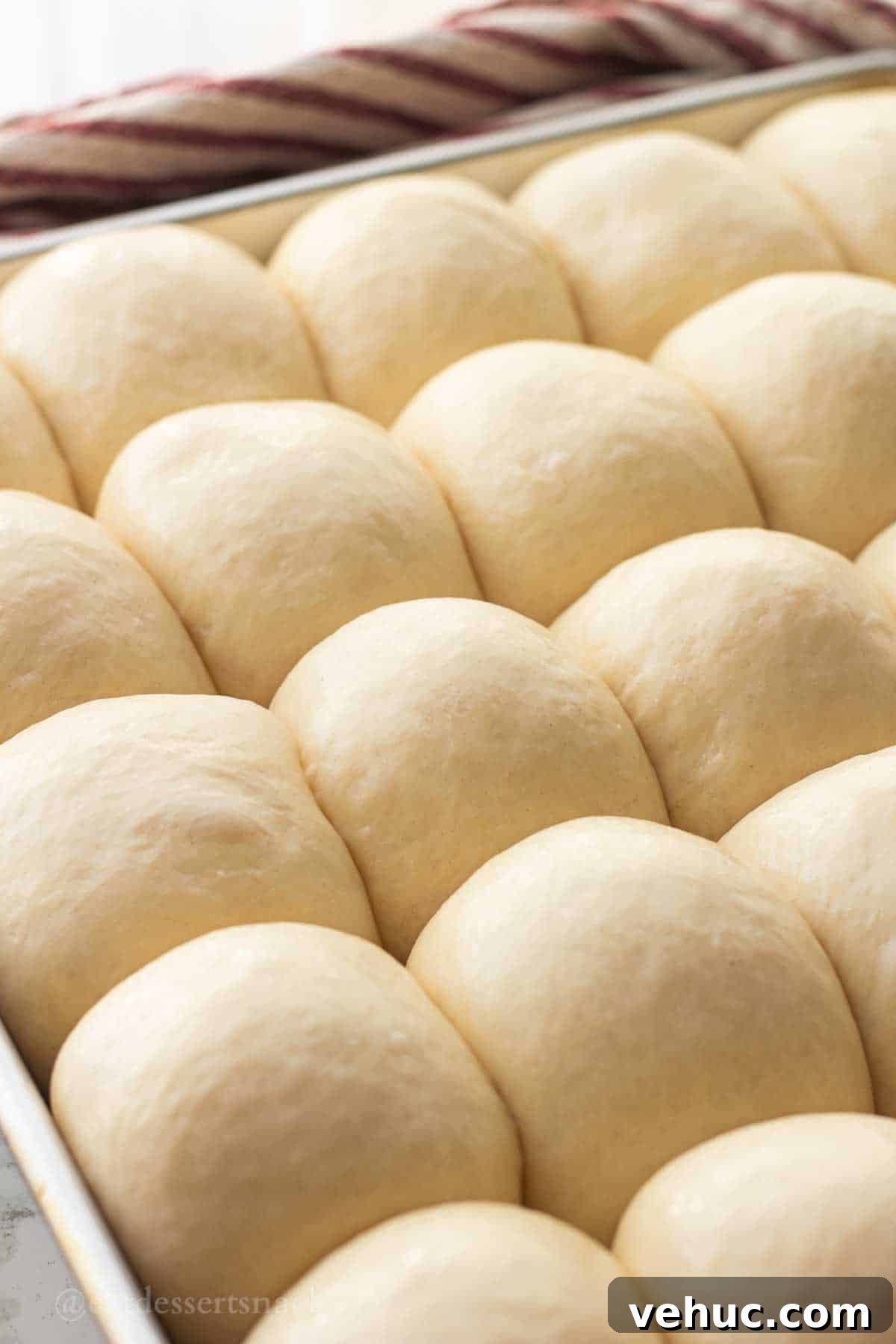 Classic Old-Fashioned Yeast Rolls Recipe 10 Risen raw dinner rolls in metal pan.