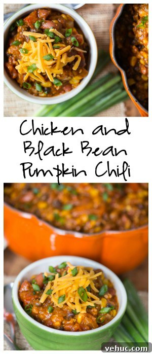 Chicken, Black Bean & Pumpkin Chili Recipe for Fall Comfort 6 Chicken and Black Bean Pumpkin Chili