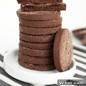 Mexican Chocolate Shortbread Cookies with Cinnamon & Chili 2 img 779 3