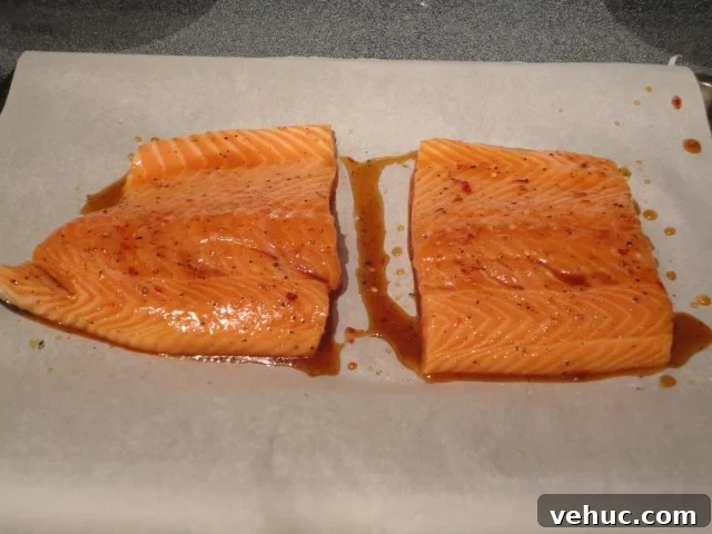 Salmon with Sassy Glaze Bruished On