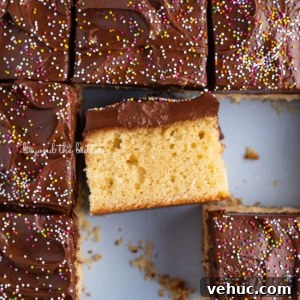 Classic Four-Egg Yellow Sheet Cake with Chocolate Frosting 12 Slices of 4 egg yellow sheet cake in blue baking tin.
