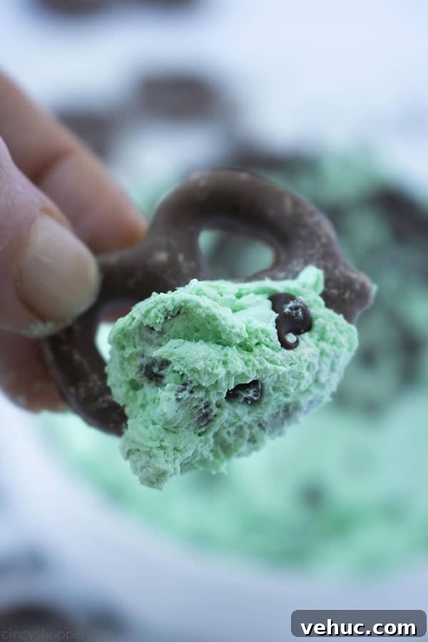 Chocolate covered pretzel with Mint Chip Dip
