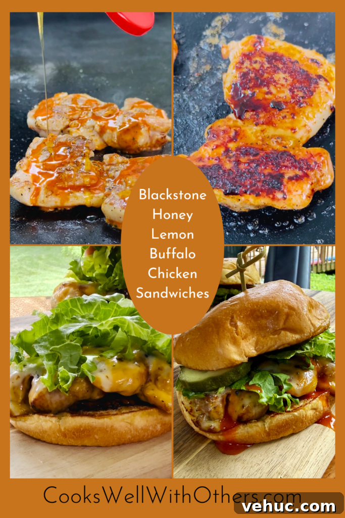 Honey-Lemon Buffalo Chicken Sandwich Recipe for Tangy Flavor 13 img 84533 12
