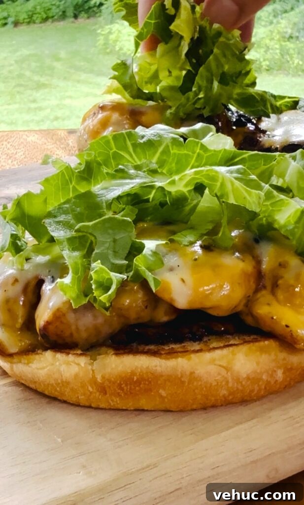 Honey-Lemon Buffalo Chicken Sandwich Recipe for Tangy Flavor 7 Honey Lemon Buffalo Chicken Sandwiches