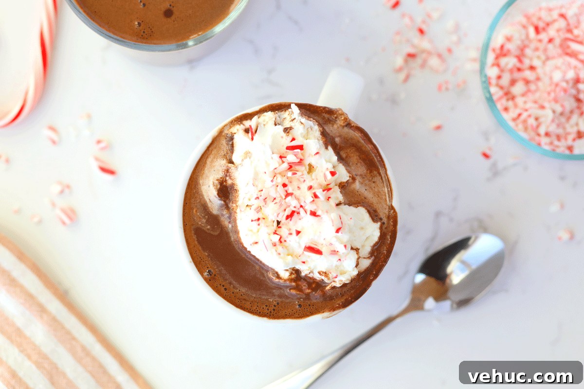 Creamy Homemade Peppermint Hot Chocolate Recipe 6 A mug of hot chocolate with peppermint candy canes on top