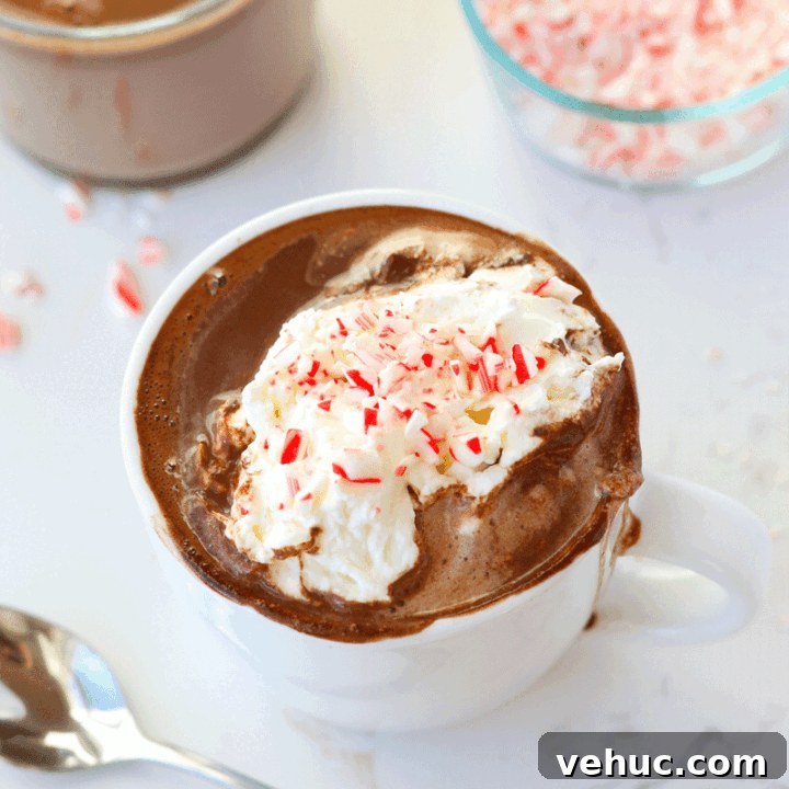 A mug of hot chocolate with peppermint candy canes on top