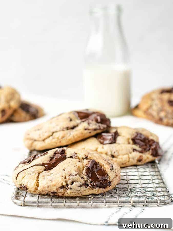 Ultimate Chocolate Chip Cookie Recipe for Gooey, Crispy Results 2 Straight on shot of big soft chocolate chip cookies with melted chocolate on cooling rack with milk behind
