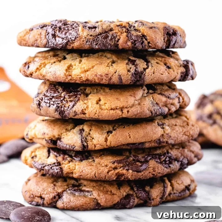 The biggest stack of chocolate chip cookies.