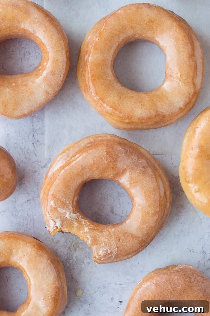 doughnuts arranged on a grey background