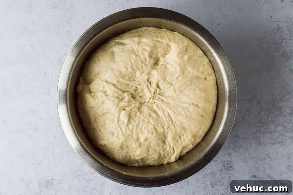 vegan glazed doughnuts step 3 - the risen dough