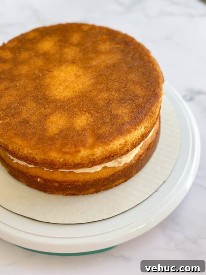 Moist Orange Coconut Cake Recipe with Zesty Glaze 14 second layer of cake topped.
