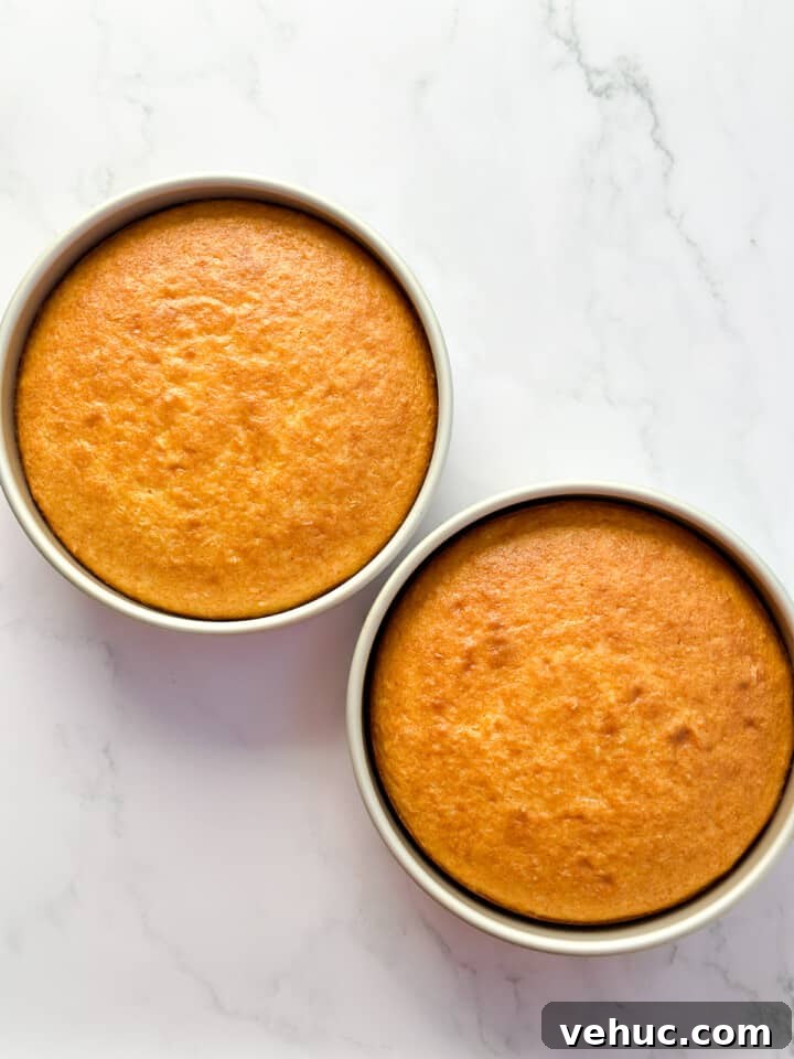 Moist Orange Coconut Cake Recipe with Zesty Glaze 8 cake layers right after baking.