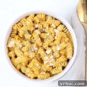 Creamy Roasted Butternut Squash Pasta Sauce Recipe 5 A bowl of pasta with butternut squash pasta sauce with a golden spoon to the right of the bowl.