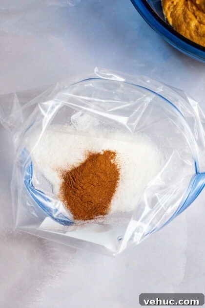 Pumpkin Spice Cake Donuts Recipe — Moist Fall Donut Tutorial 11 Cinnamon and sugat in a plastic bag before getting mixed.