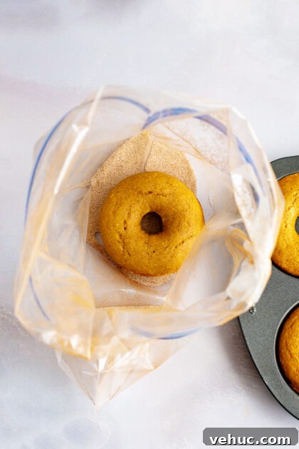 Pumpkin Spice Cake Donuts Recipe — Moist Fall Donut Tutorial 12 Coating the pumpkin spice donuts with cinnamon sugar in a plastic bag.