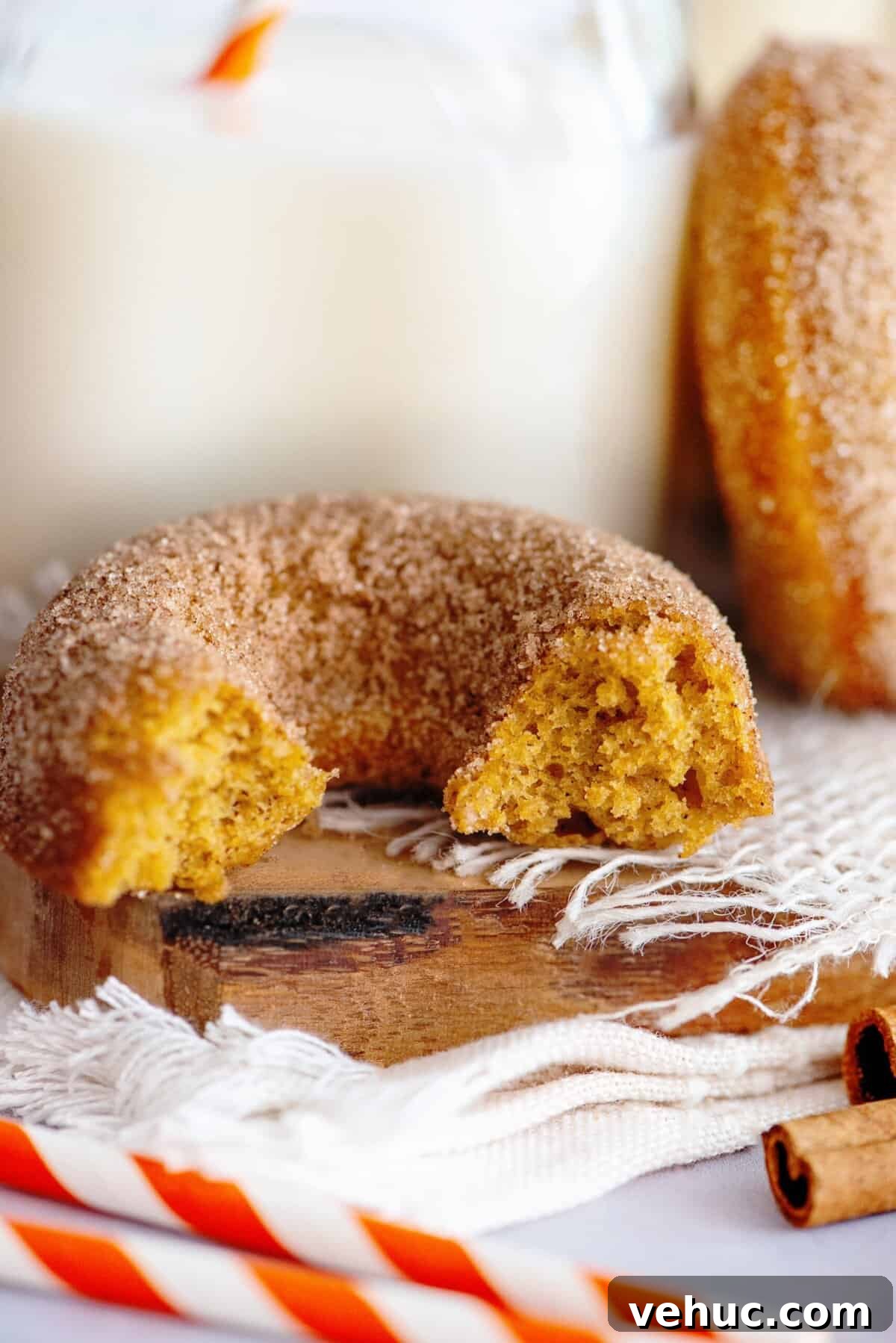 Pumpkin Spice Cake Donuts Recipe — Moist Fall Donut Tutorial 14 A bitten into pumpkin spice cake donut.