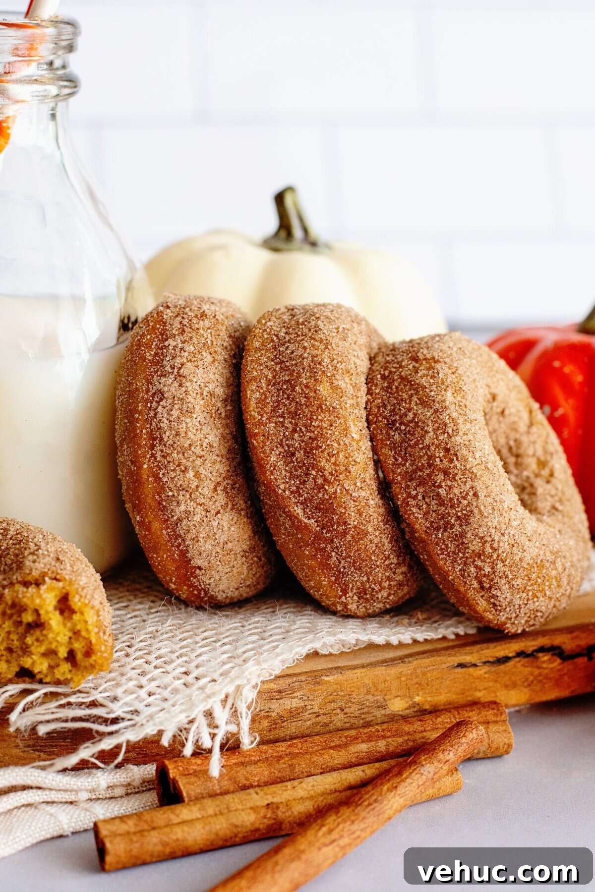 Pumpkin Spice Cake Donuts Recipe — Moist Fall Donut Tutorial 15 Pumpkin spice cake donuts in a row leaning on a glass jug of milk.