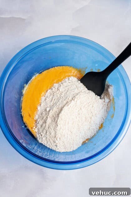 Pumpkin Spice Cake Donuts Recipe — Moist Fall Donut Tutorial 8 Mixing the wet and dry ingredients together in a glass blue mixing bowl.
